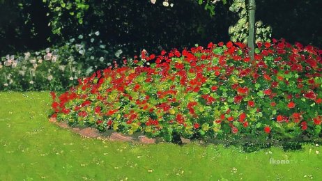 Claude Monet: Woman in the Garden