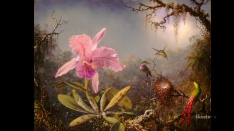 Martin Johnson Heade: Cattleya Orchid and Three Hummingbirds