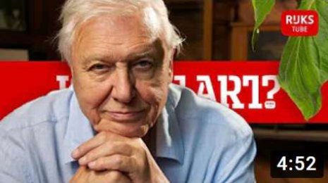How David Attenborough and BBC Earth Paint us a Perfect Picture