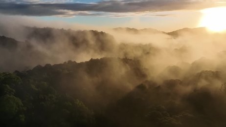 Open Call for our climate